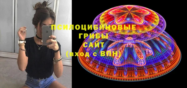 бошки Дмитриев