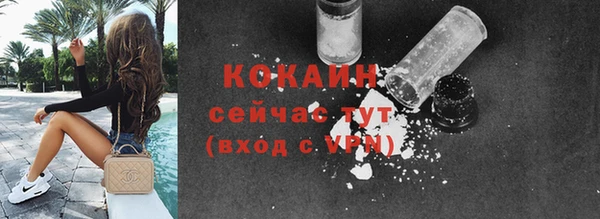 бошки Дмитриев