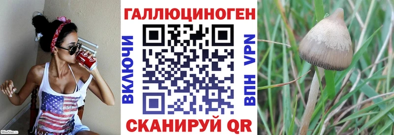 Галлюциногенные грибы ЛСД  дарнет шоп  Чегем 
