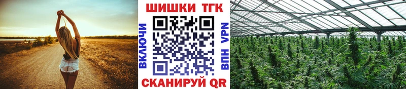 где продают наркотики Чегем Шишки марихуана тримм